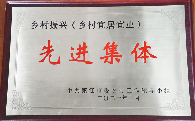 乡村振兴先进集体_副本.jpg
